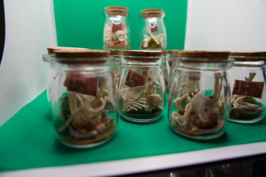 Skeleton Glass Jars