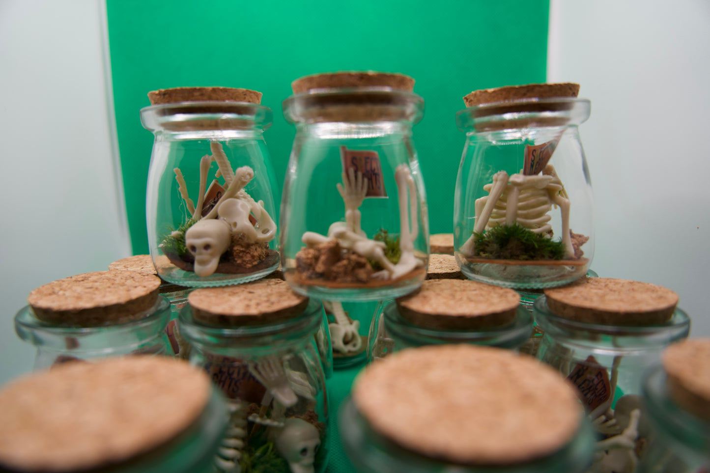 Skeleton Glass Jars
