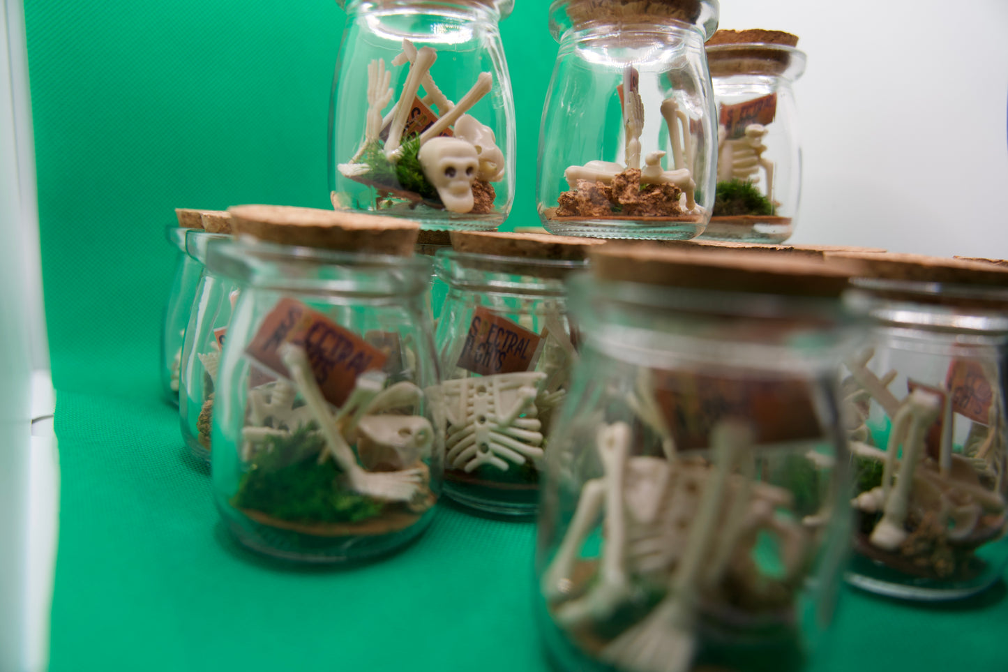 Skeleton Glass Jars