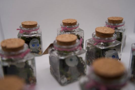 Terrariums