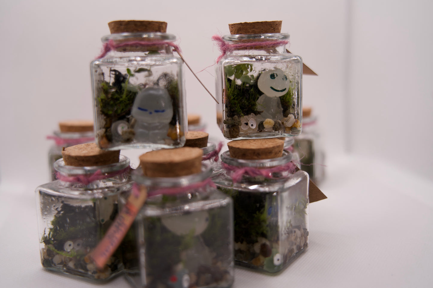 Terrariums